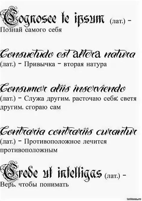 Татуировки с надписями и переводом на русский язык