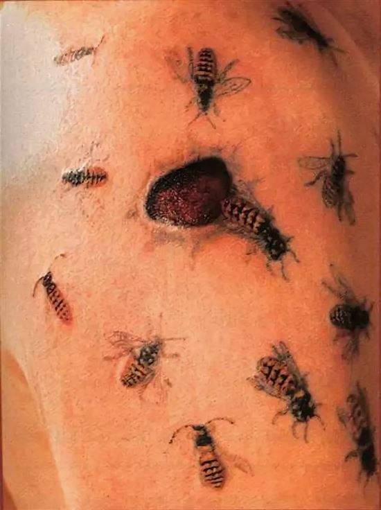 Татуировка таракан